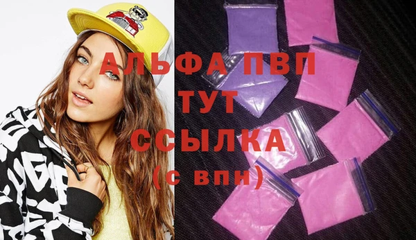 хмурый Ладушкин