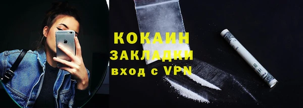 хмурый Ладушкин