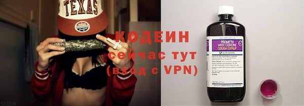 хмурый Ладушкин