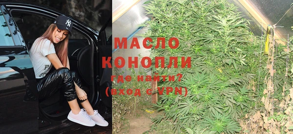 хмурый Ладушкин