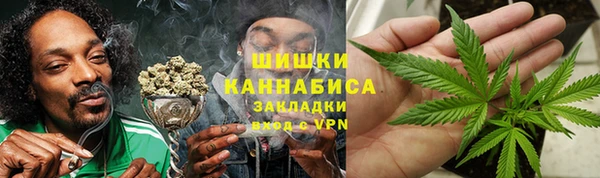 хмурый Ладушкин