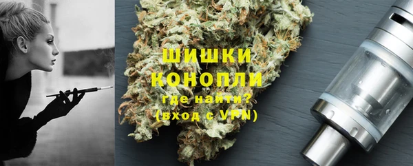 хмурый Ладушкин