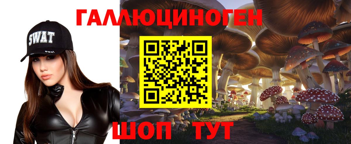 Псилоцибиновые грибы мицелий Ногинск